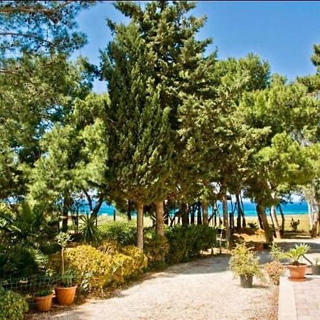 Appartamento I Tramonti Di Cofano กัสเตลลุซโซ ภายนอก รูปภาพ