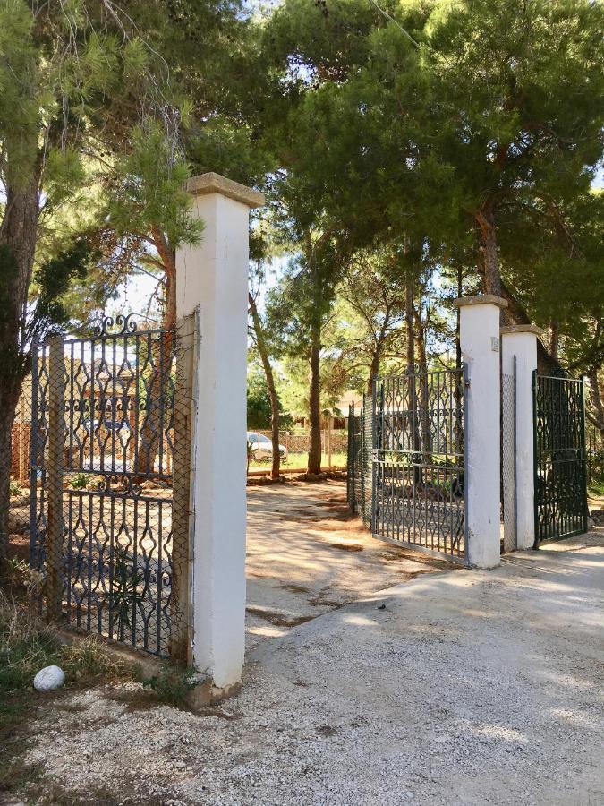 Appartamento I Tramonti Di Cofano กัสเตลลุซโซ ภายนอก รูปภาพ