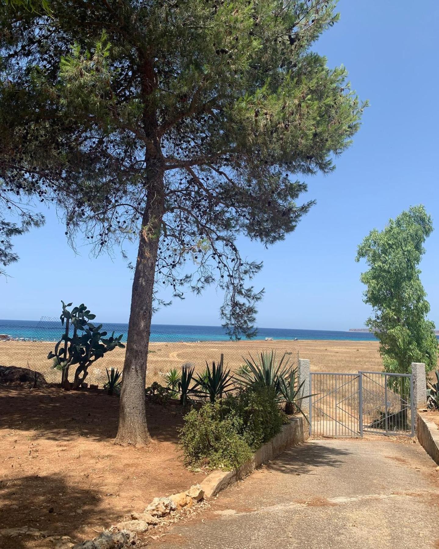 Appartamento I Tramonti Di Cofano กัสเตลลุซโซ ภายนอก รูปภาพ